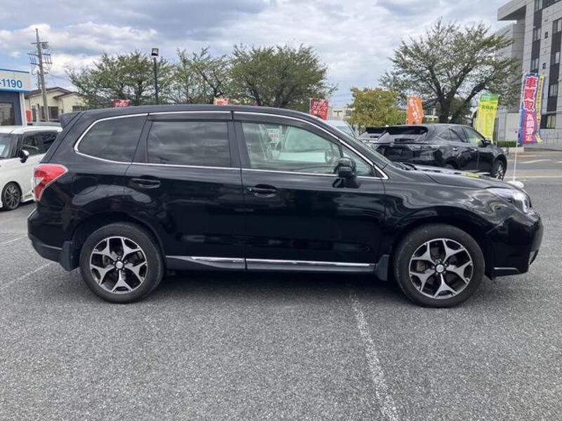 FORESTER
