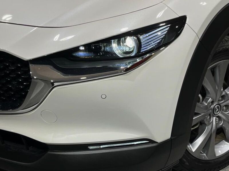CX-30