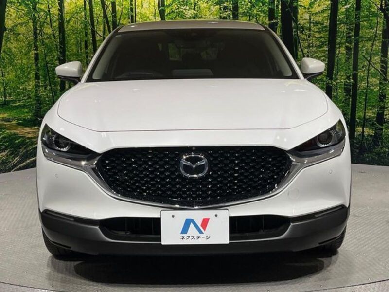 CX-30