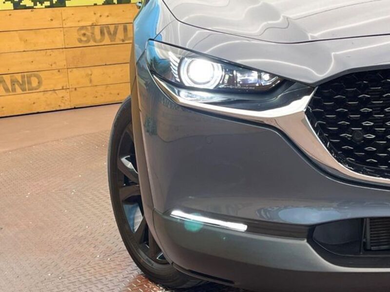 CX-30