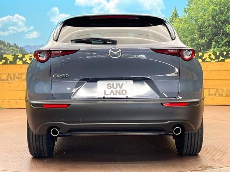 CX-30