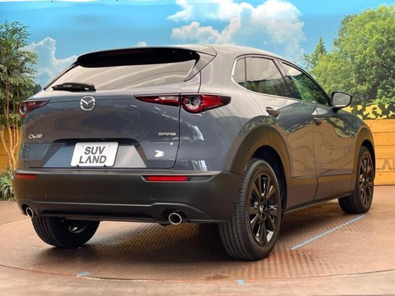 CX-30