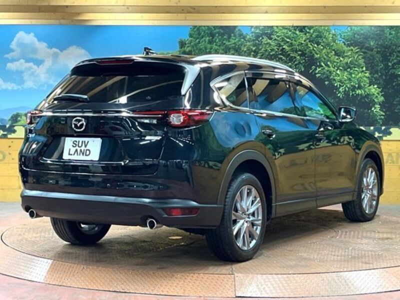 CX-8