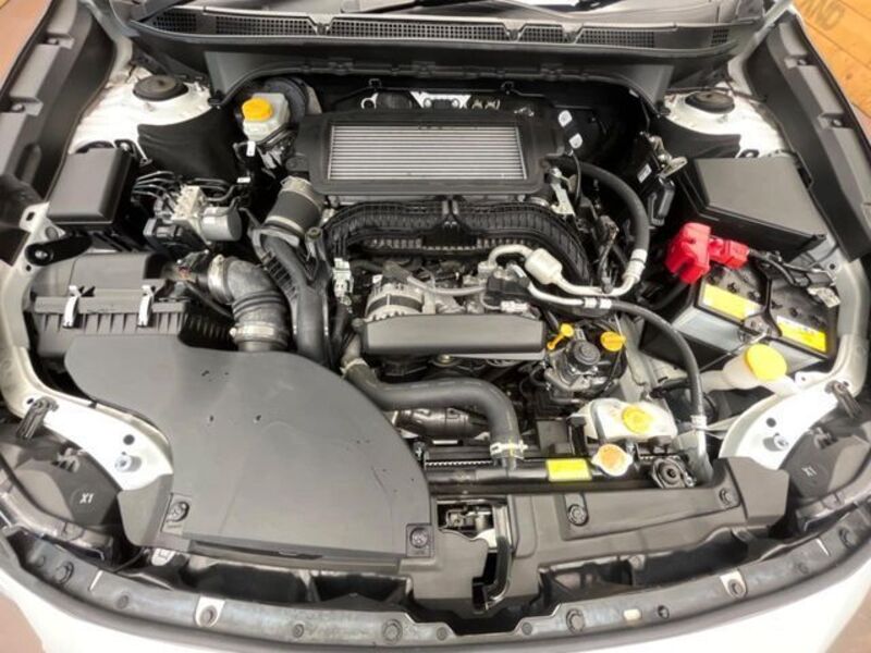 LEGACY OUTBACK