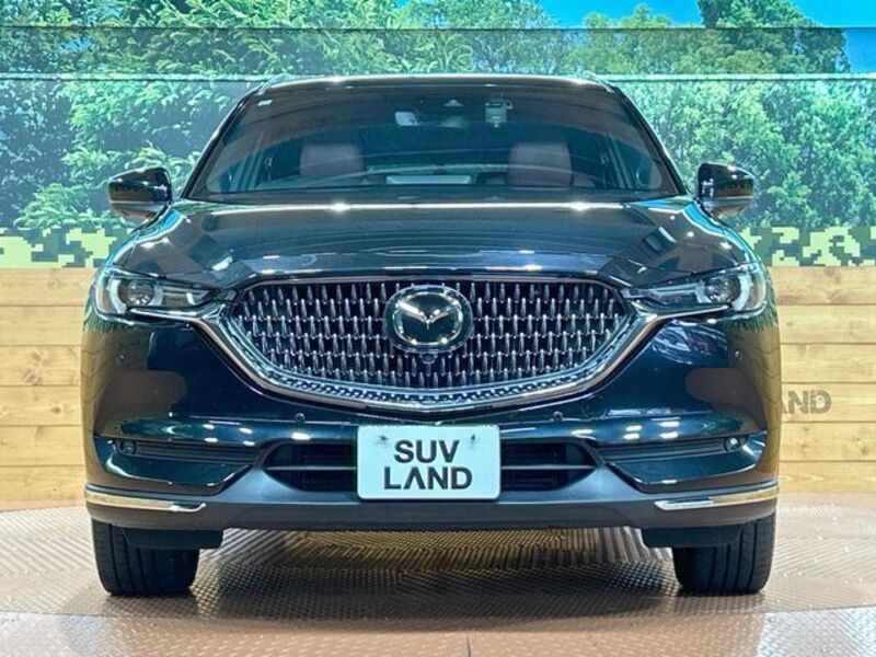 CX-8