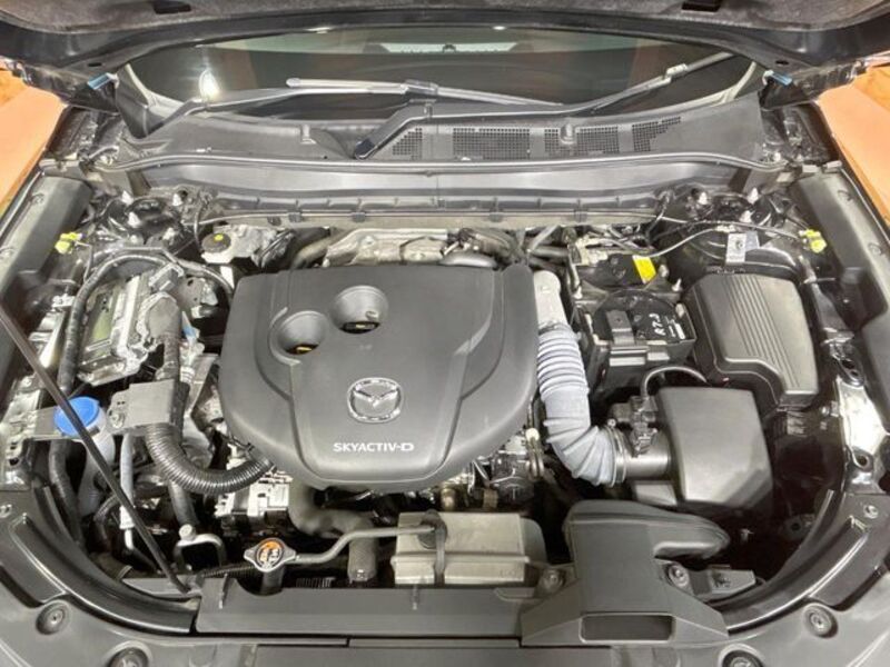 CX-8