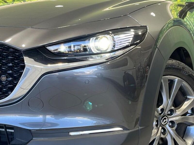 CX-30