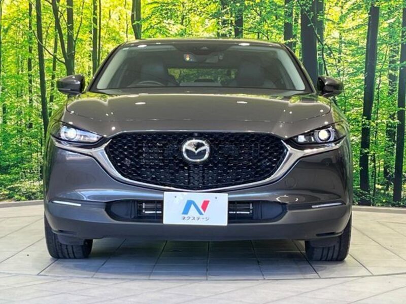 CX-30