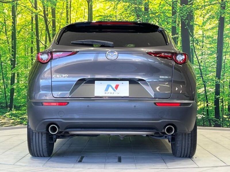CX-30