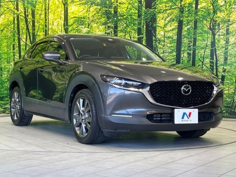 CX-30