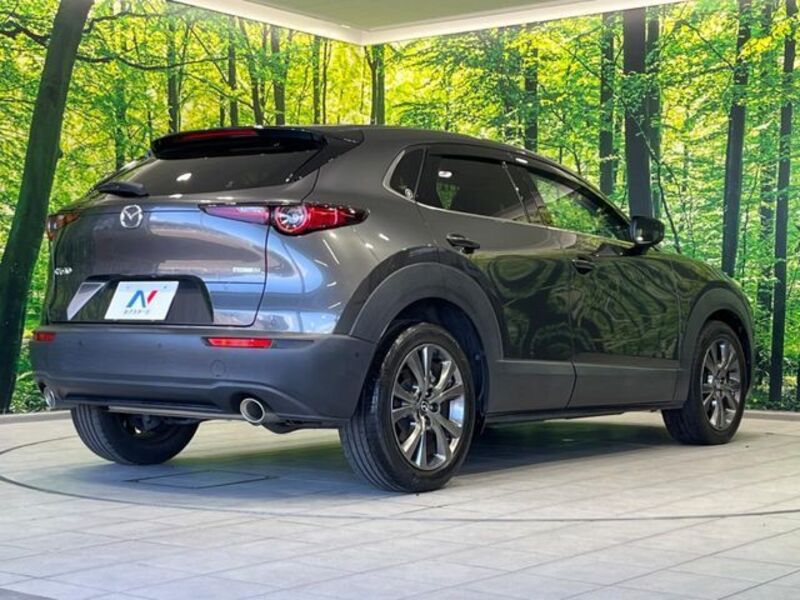 CX-30