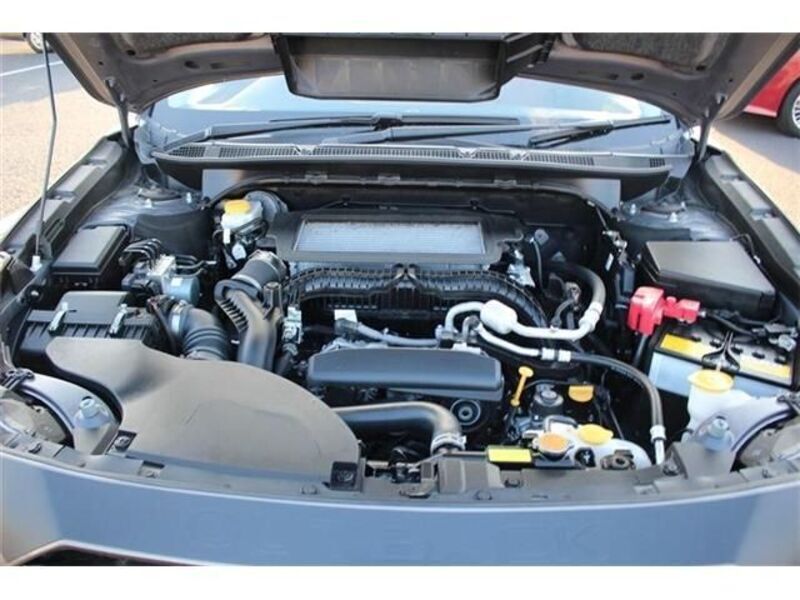 LEGACY OUTBACK
