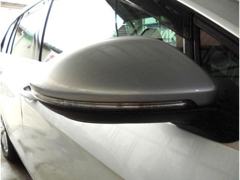 GOLF VARIANT