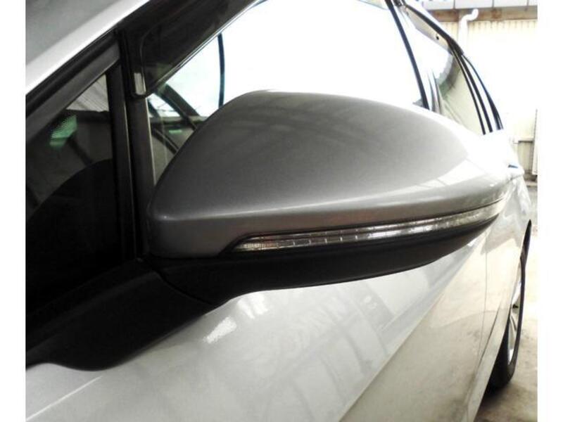 GOLF VARIANT