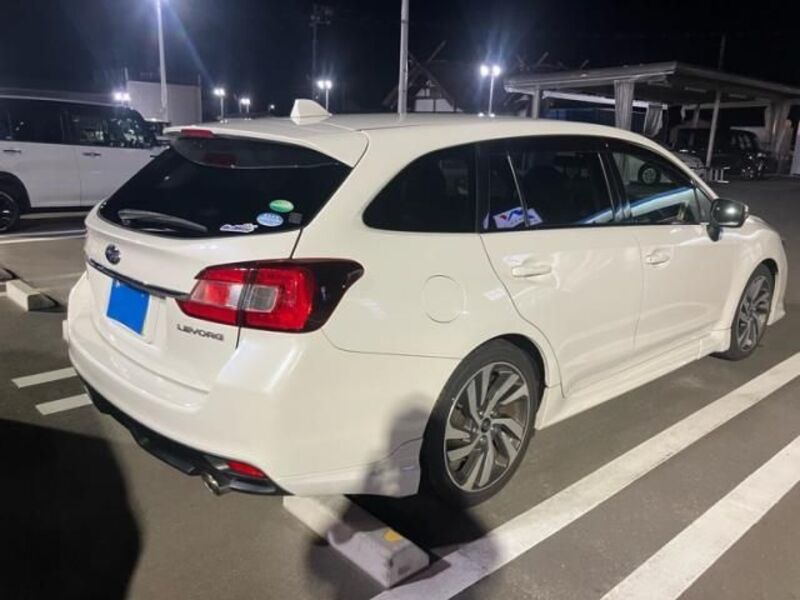 LEVORG