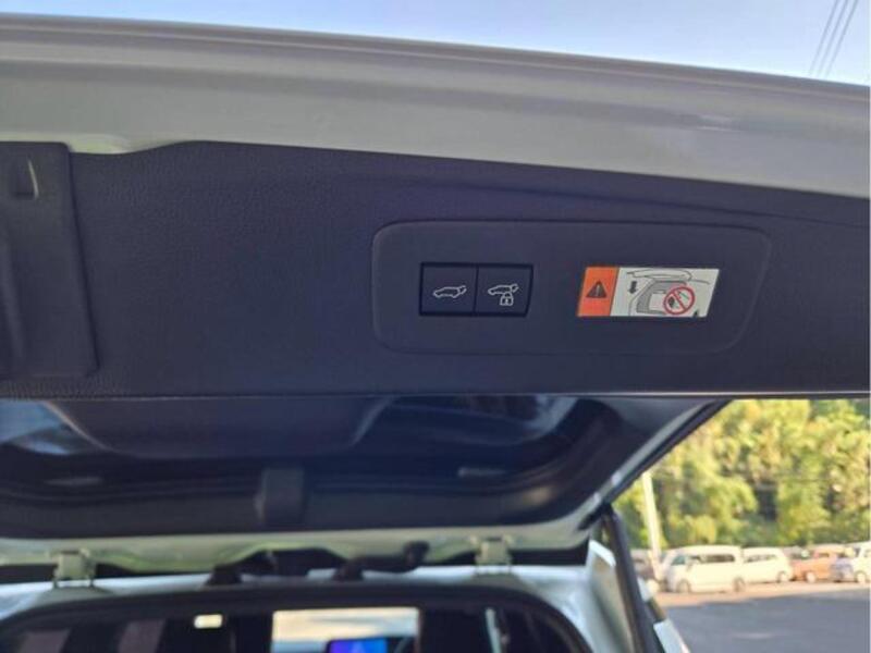 LAND CRUISER 250