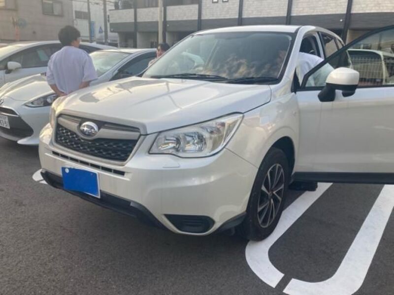 FORESTER