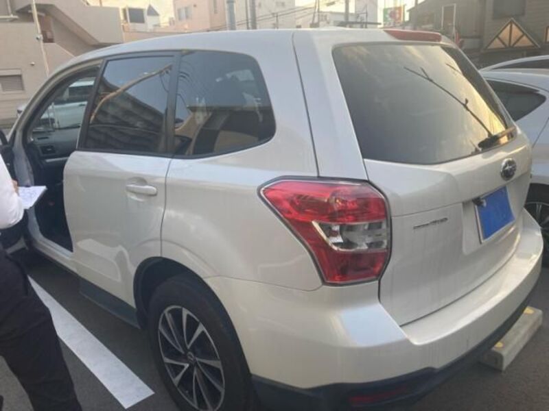 FORESTER