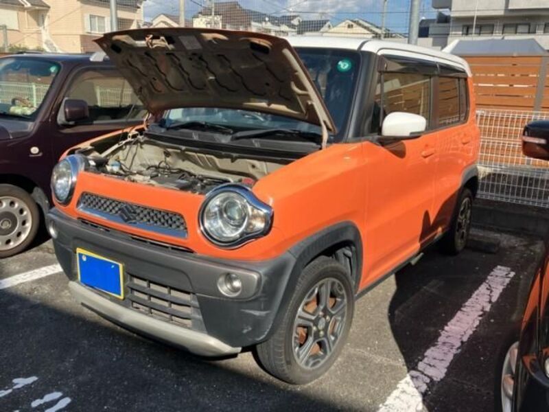 HUSTLER