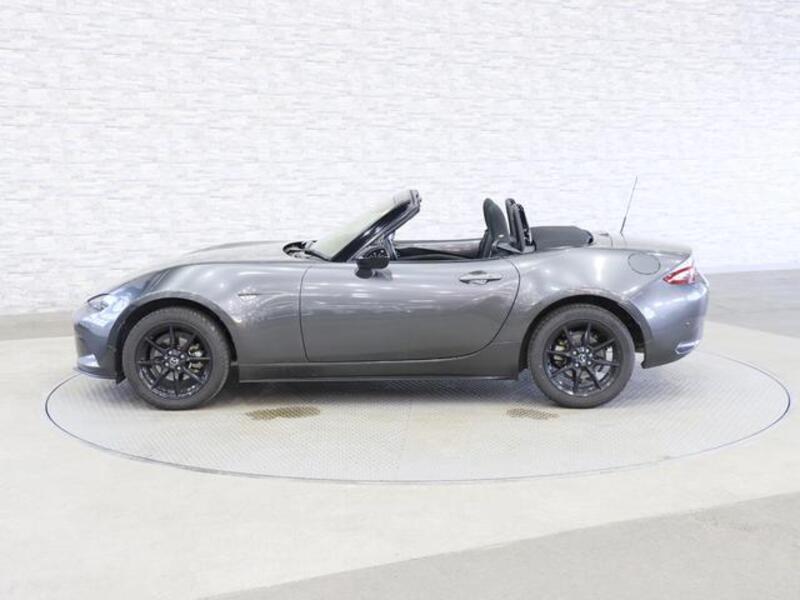 ROADSTER