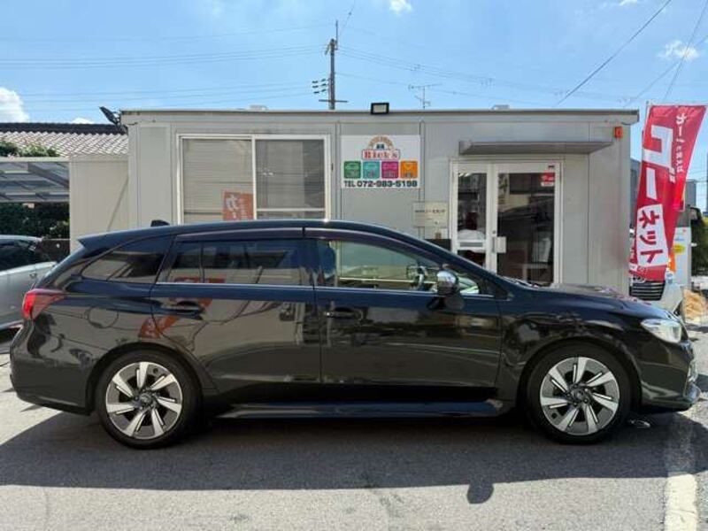 LEVORG