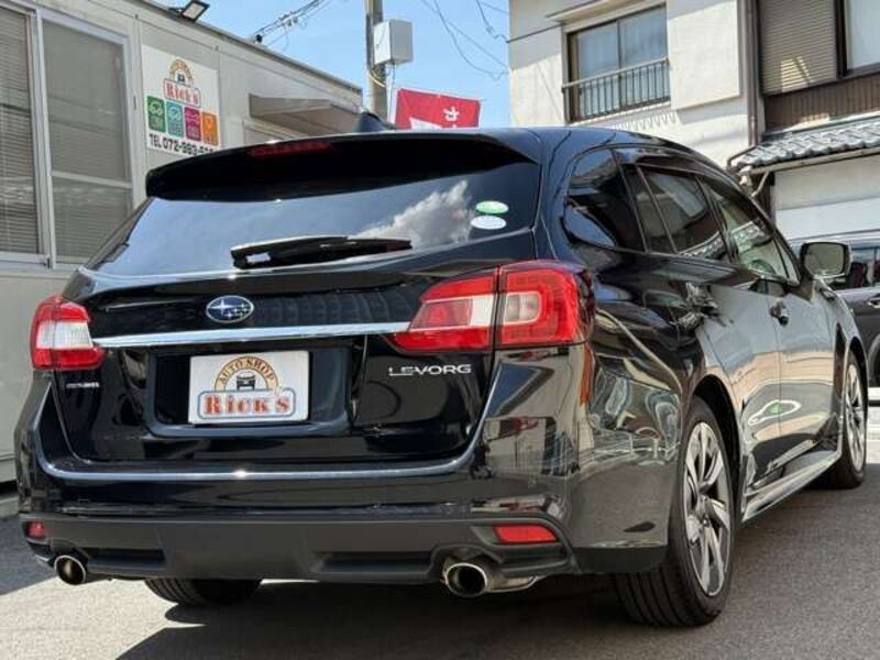 LEVORG