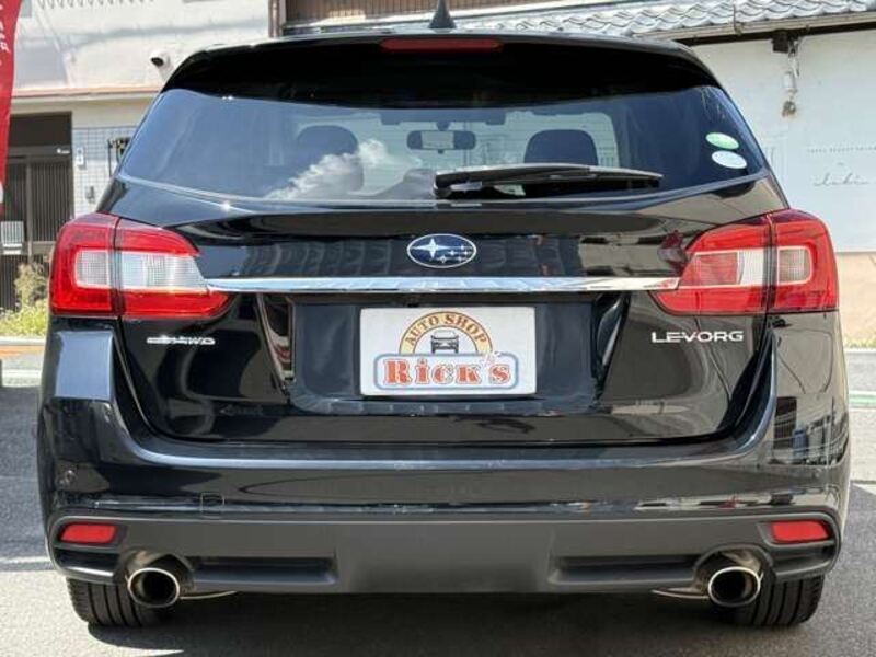 LEVORG