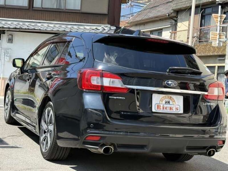 LEVORG