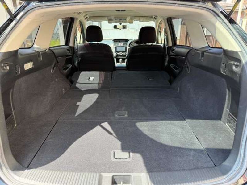 LEVORG