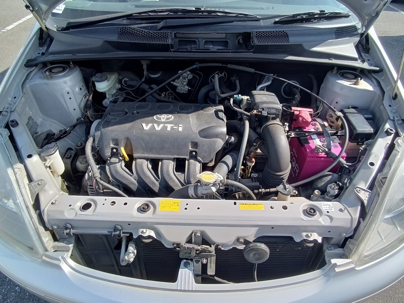 VITZ