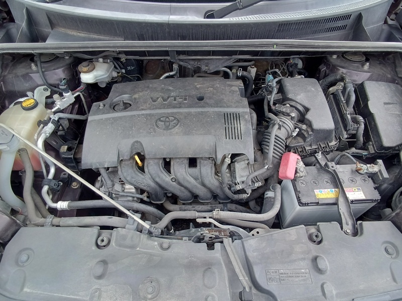 COROLLA RUMION