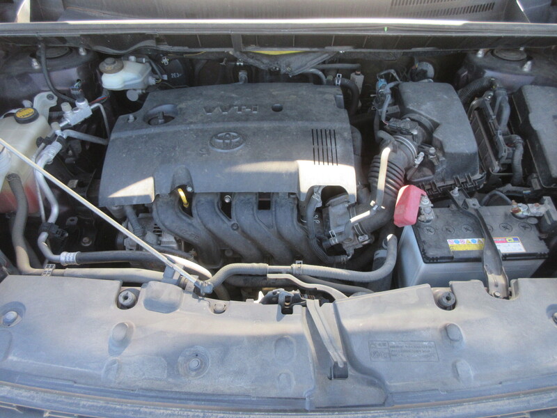COROLLA RUMION