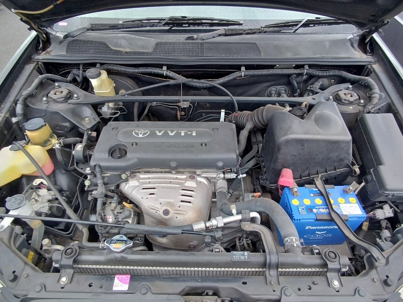 KLUGER V
