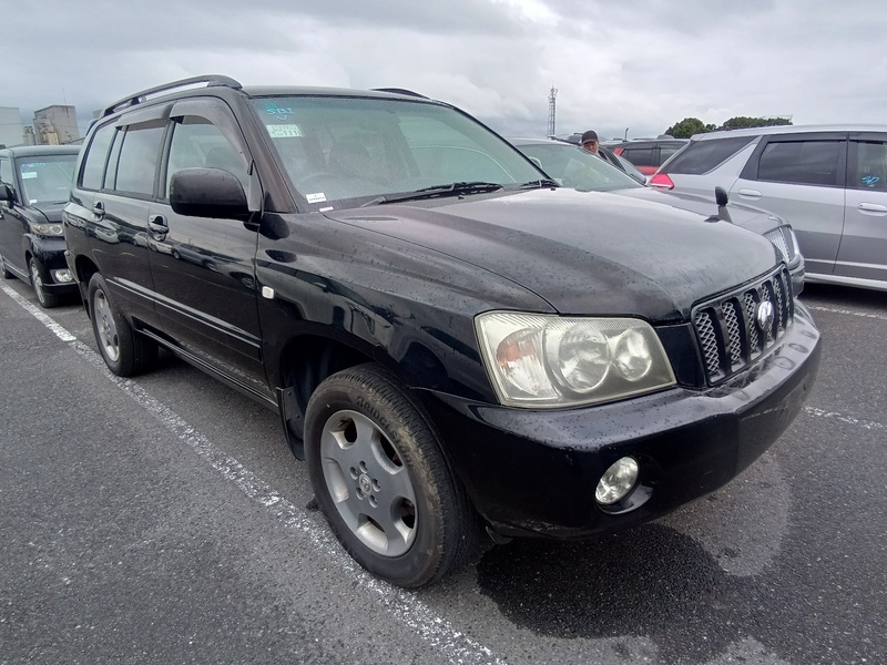 KLUGER V