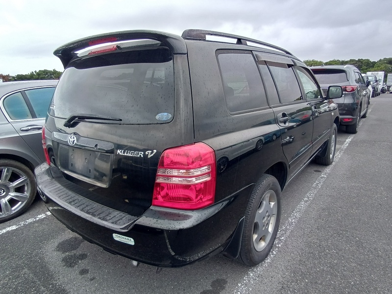 KLUGER V