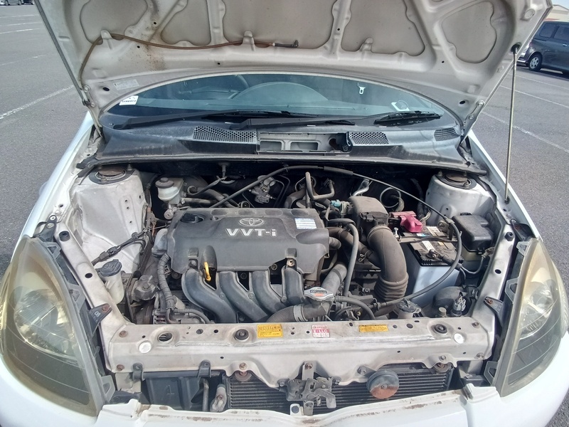 VITZ