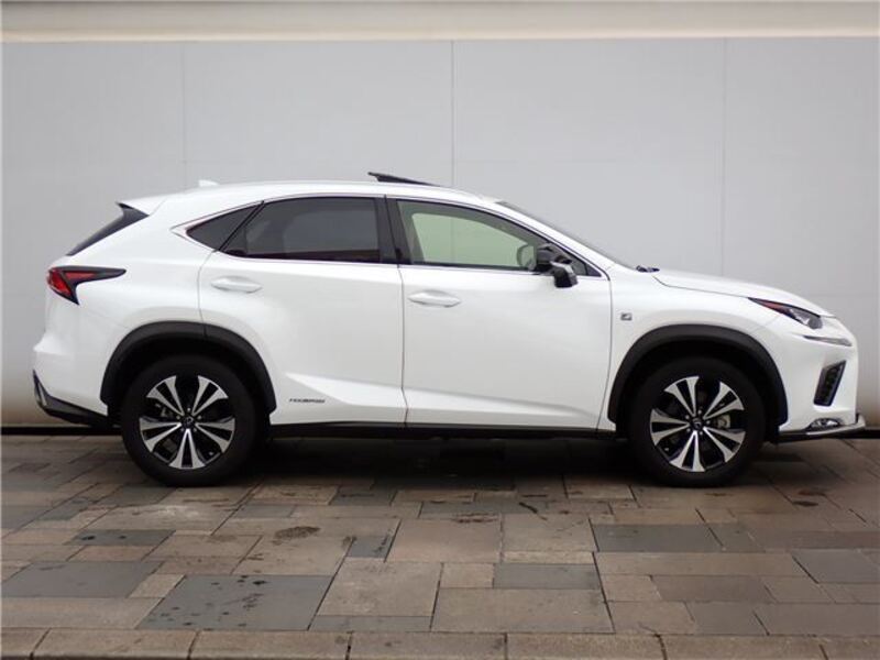 NX
