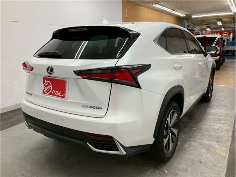 NX
