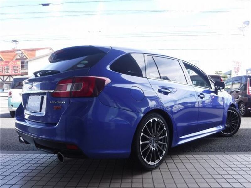 LEVORG