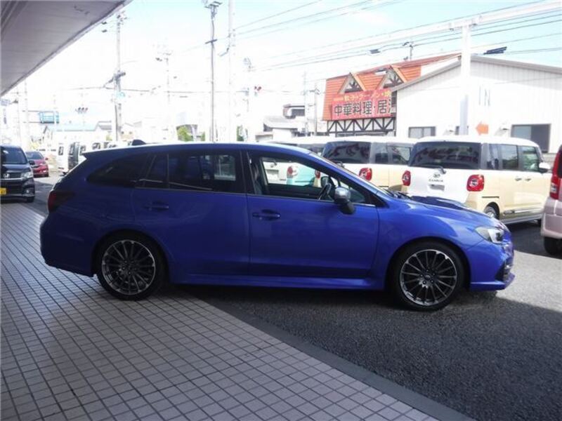 LEVORG