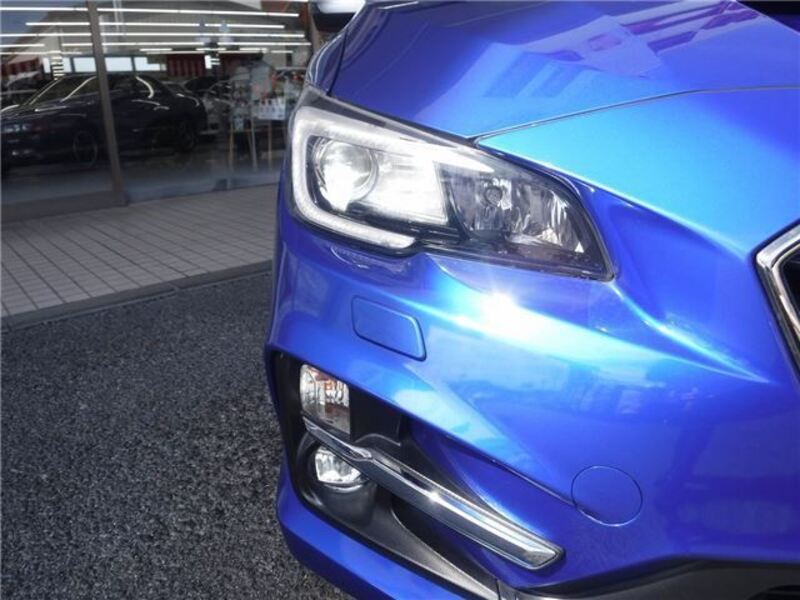 LEVORG