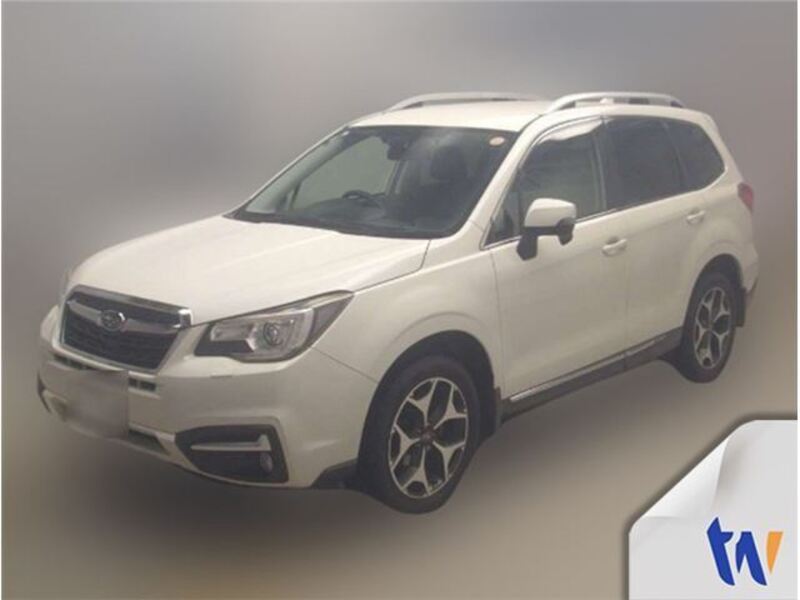 FORESTER-0