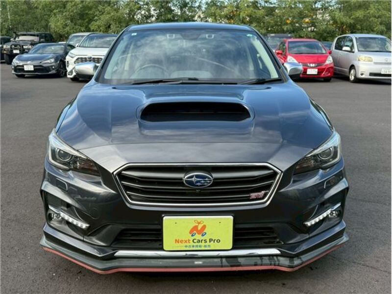 LEVORG