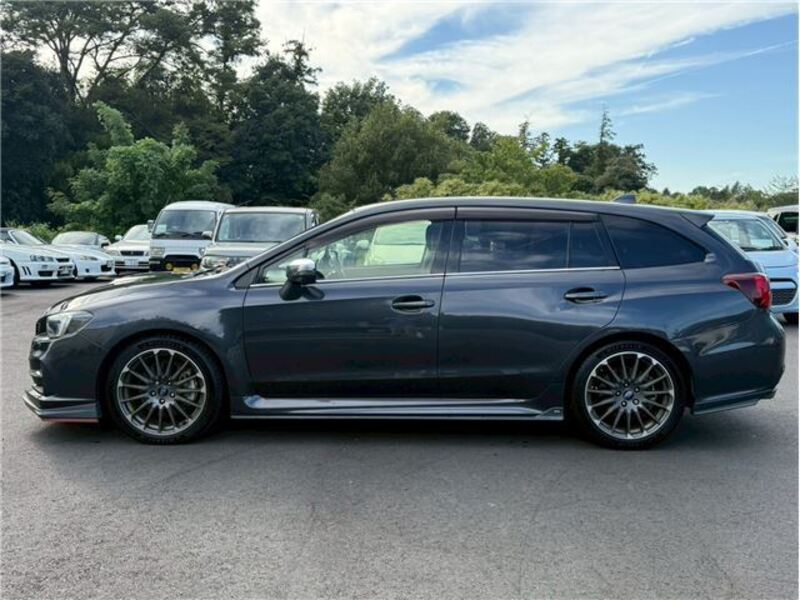 LEVORG