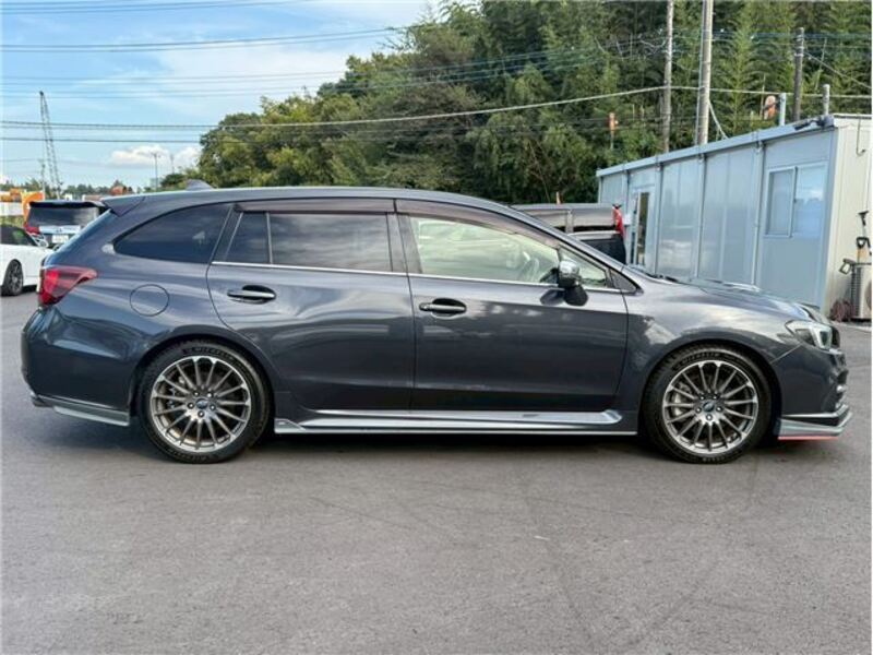LEVORG
