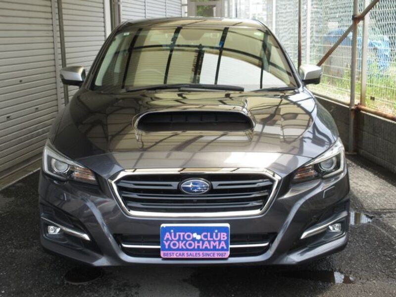 LEVORG