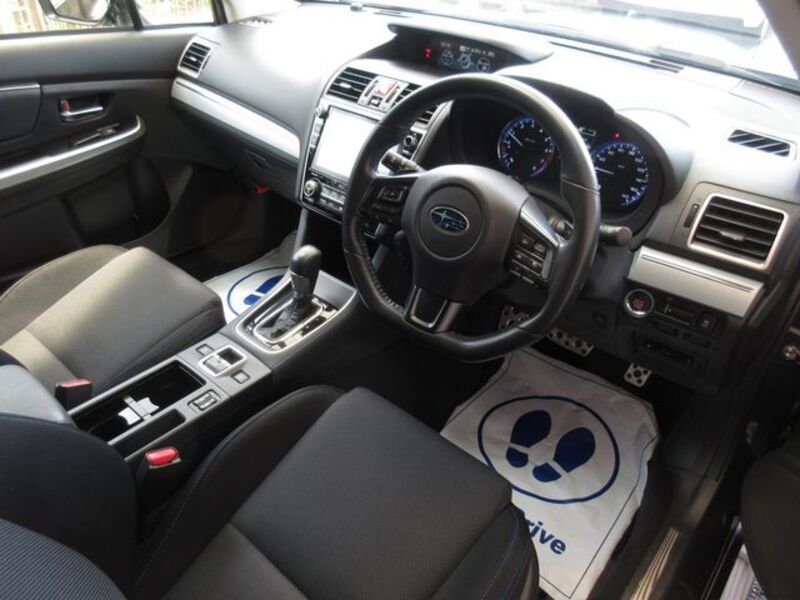 LEVORG