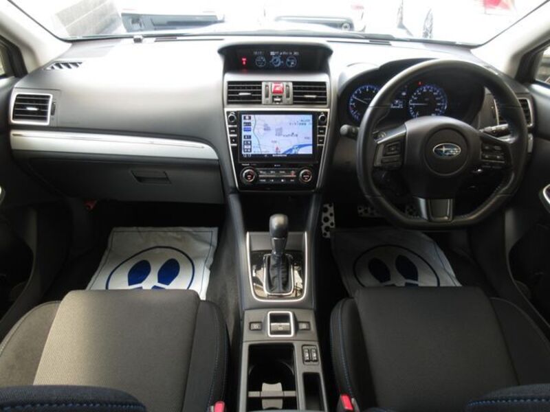 LEVORG