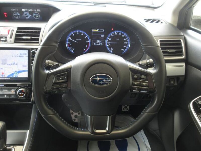 LEVORG