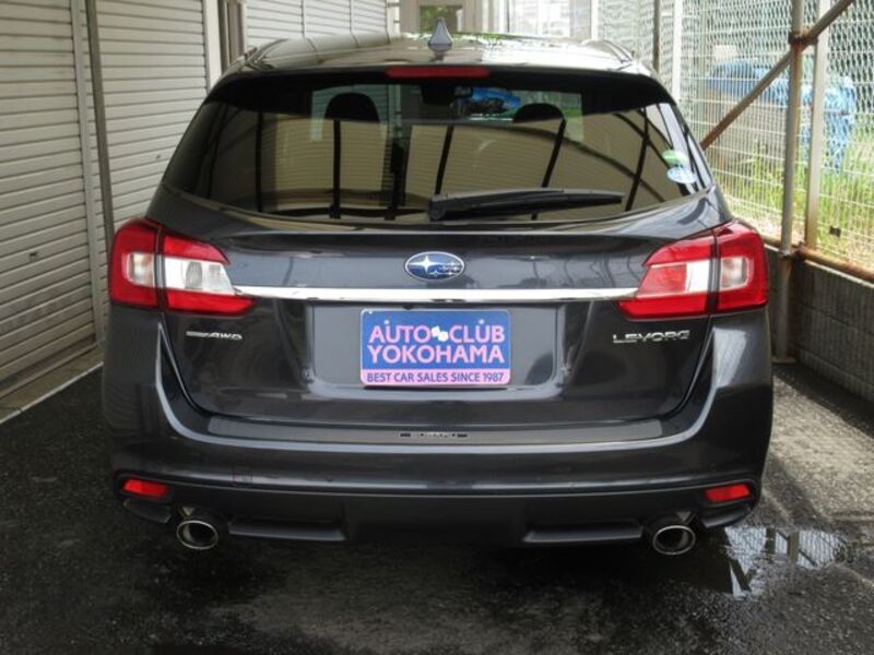 LEVORG